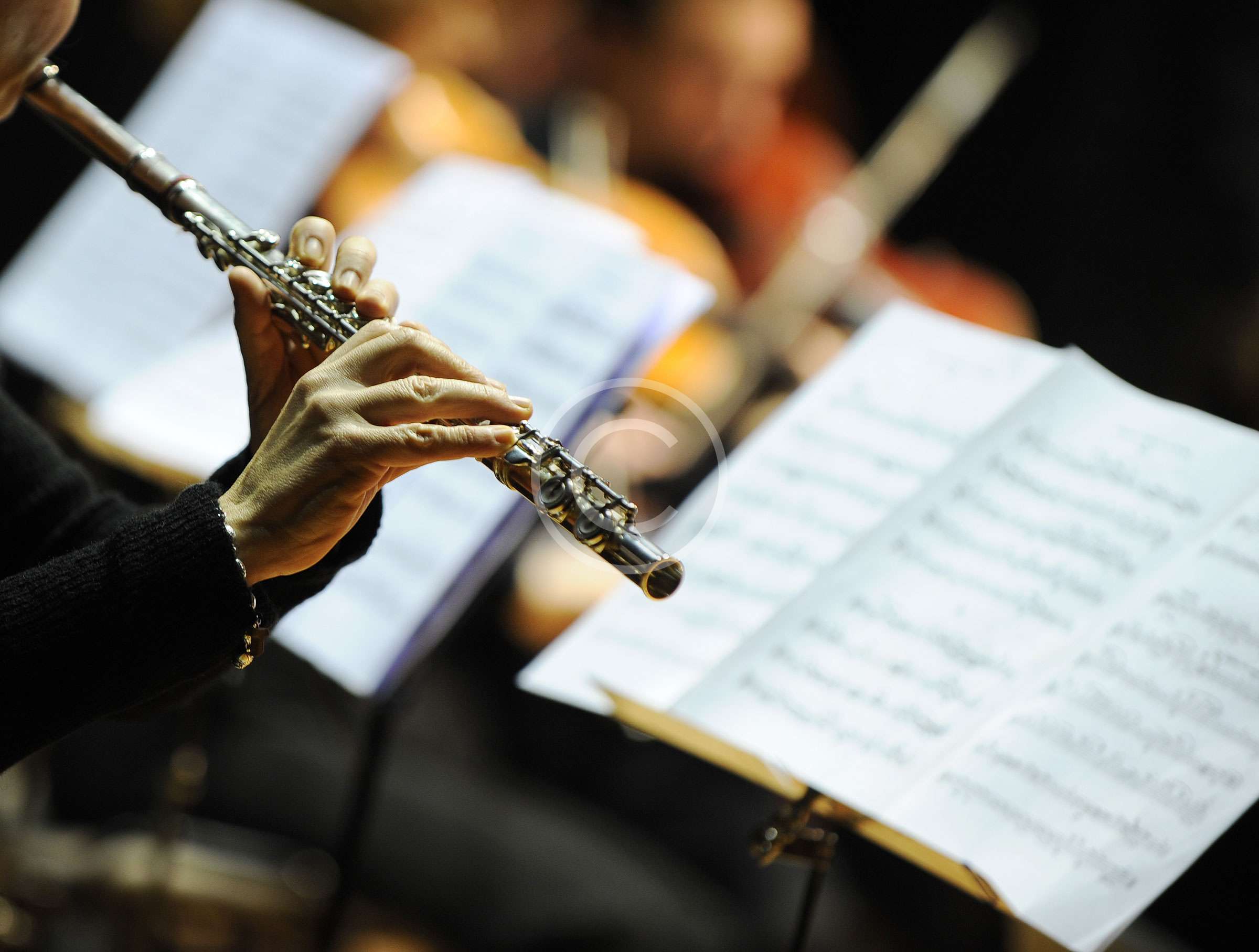 The 9 Different Types of music degrees